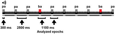 Impact of feeding habits on the development of language-specific processing of phonemes in brain: An event-related potentials study